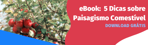 eBook: 5 Dicas sobre Paisagismo Comestível