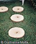 Piso de discos de tronco de árvore