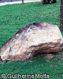Pedra escultórica natural