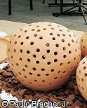 Bolas decorativas de argila