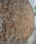 Muro de Pedra Almofadada