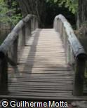 Ponte de madeira