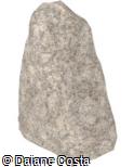 (PE.PN17) Pedra Natural - P (Máx. 50cm)