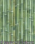 (CR.BA6) cerca de bambu verde escuro