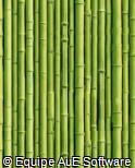 (CR.BA3) cerca de bambu verde