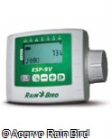 (4SESP9V) 4SESP9V (4SESP9V) 4SESP9V