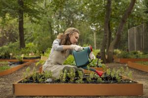 O que plantar em setembro? Dicas para uma horta saudável na primavera